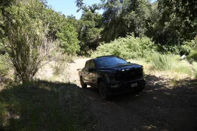 DSC_5902 (Large).JPG